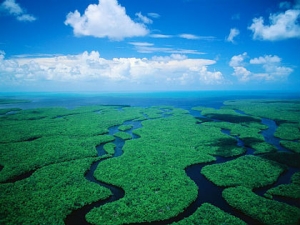 [en]Everglades private guided sightseeing tour[/en][es]Excursión privada y guiada a los Everglades[/es][ru]Индивидуальная экскурсия с гидом в Эверглейдс[/ru][fr]Excursion privée et guidée des Everglades[/fr]